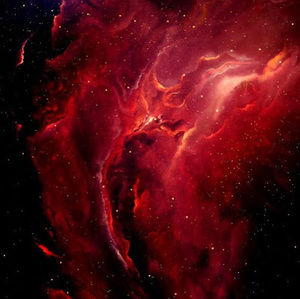 Meet your Posher, Wesley